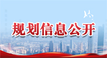 规划规则说明
